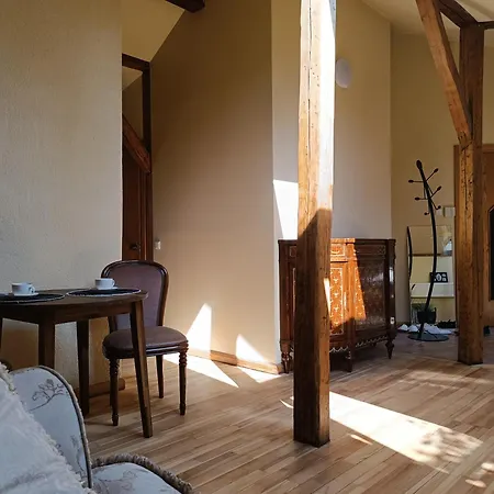 Loft Olja Apartment Riga