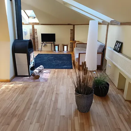 Loft Olja Appartement *
